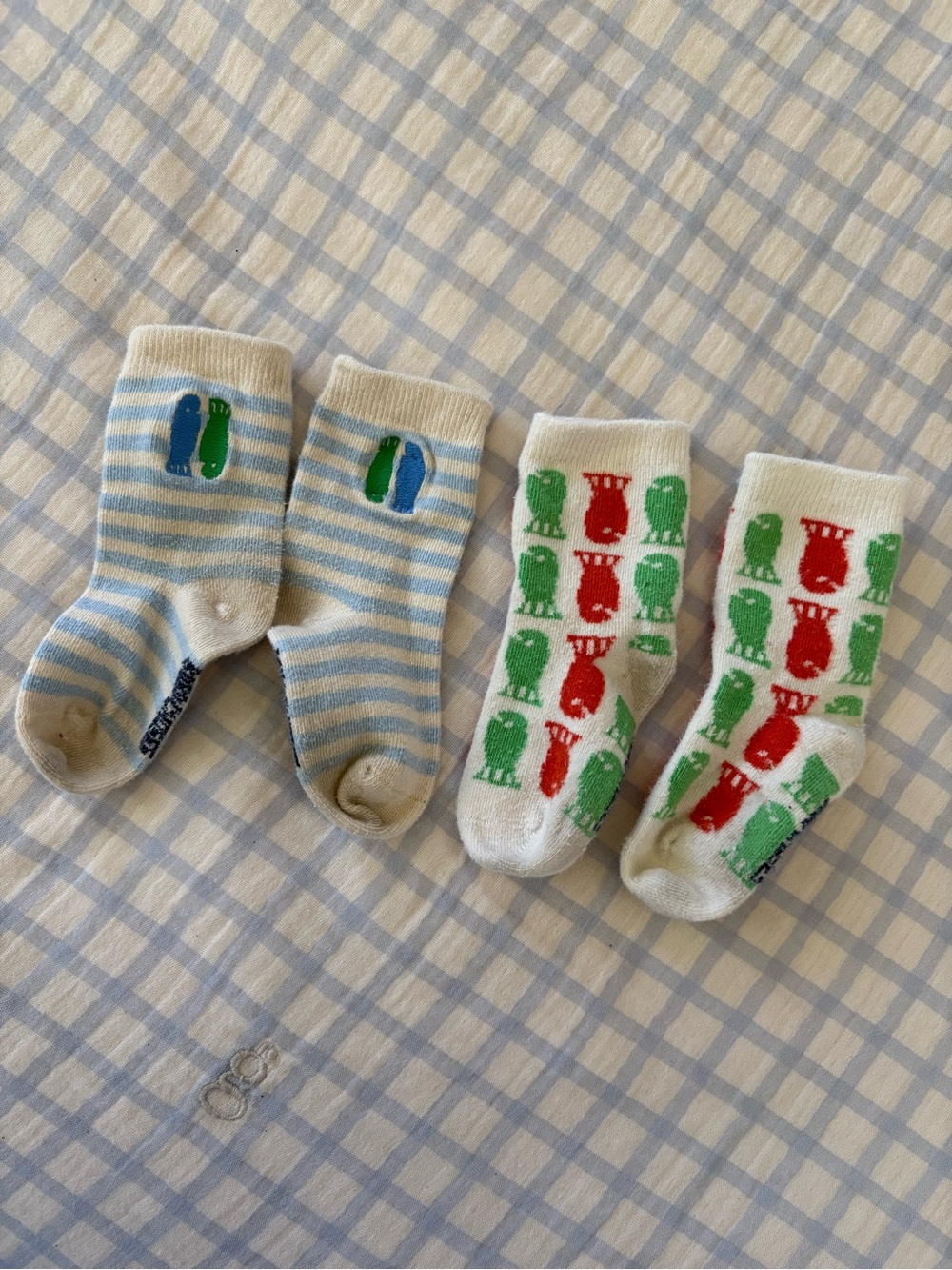 Bobo Choses Fish sock bundle